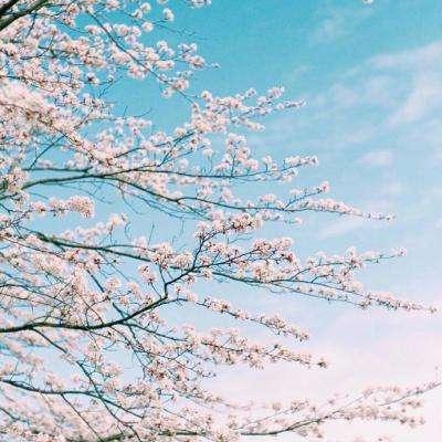 宝博游戏app下载